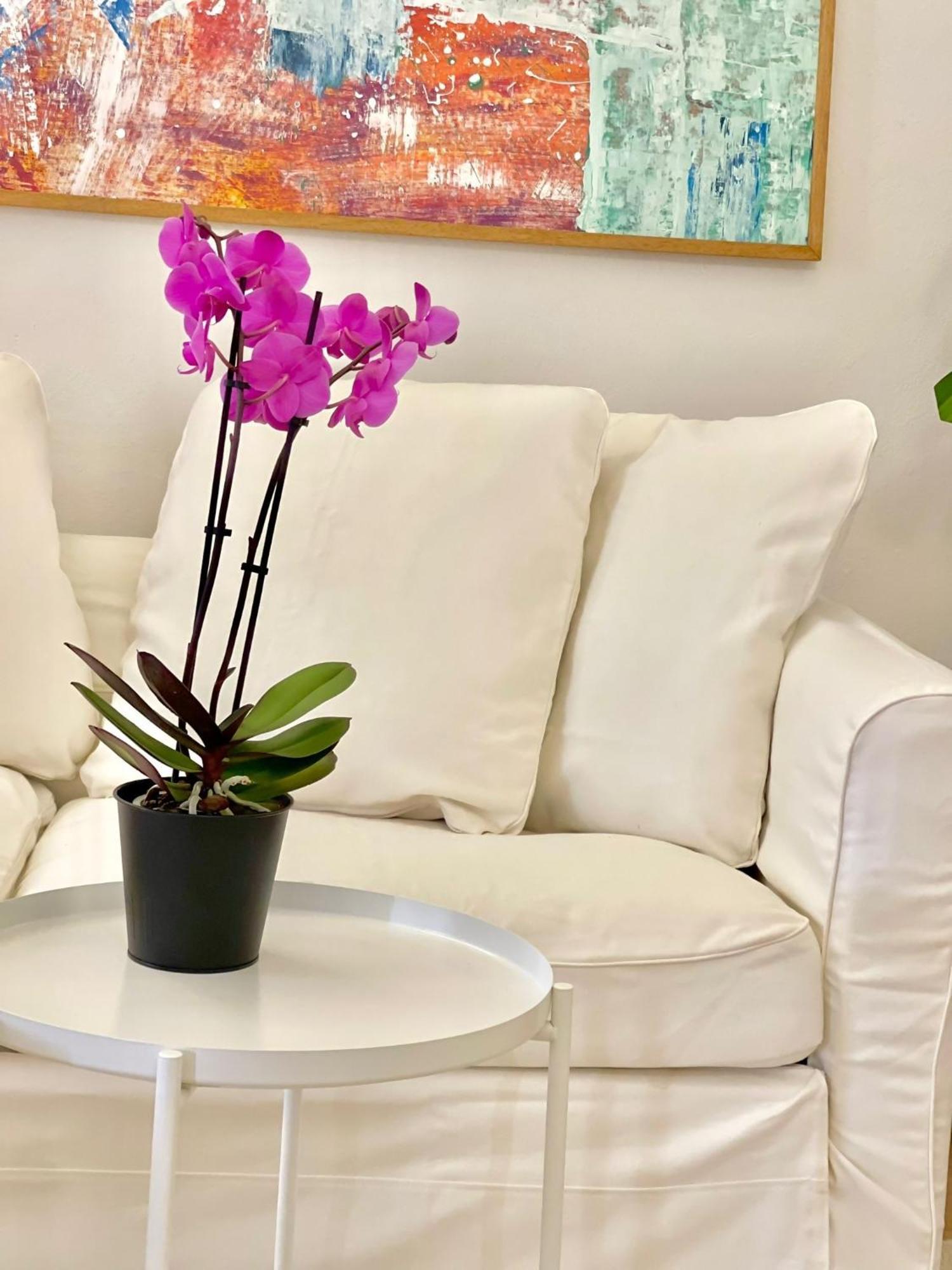 Susannas Lovely New Apartment Ливорно Екстериор снимка